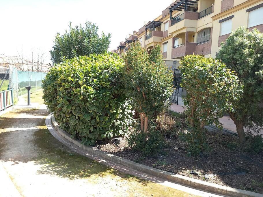 El Nido Del Nomada Apartment Atarfe Ngoại thất bức ảnh